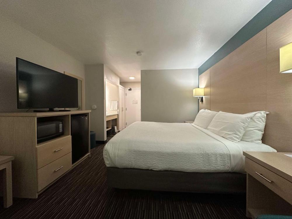Queen Room - Disability Access Tub interior